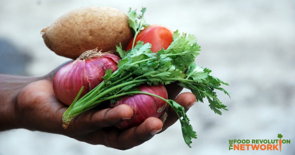 Canada's new proposed food guide focuses on plant-based food