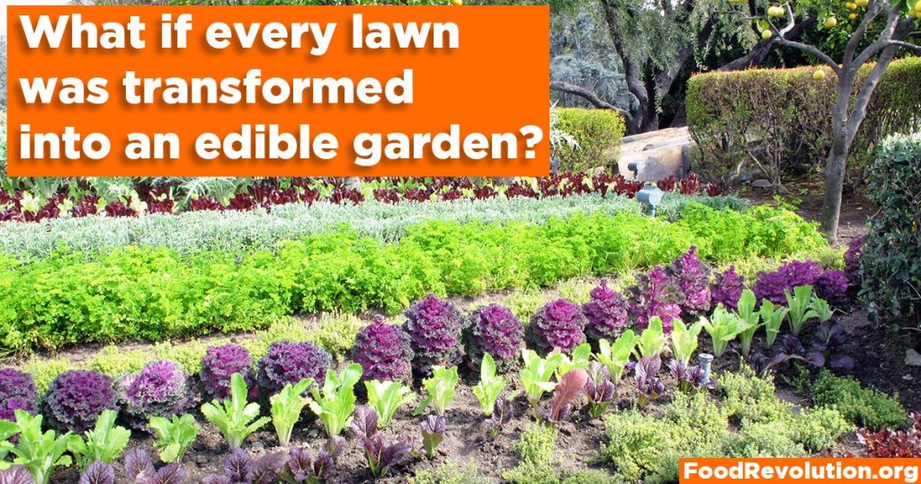 Edible gardens