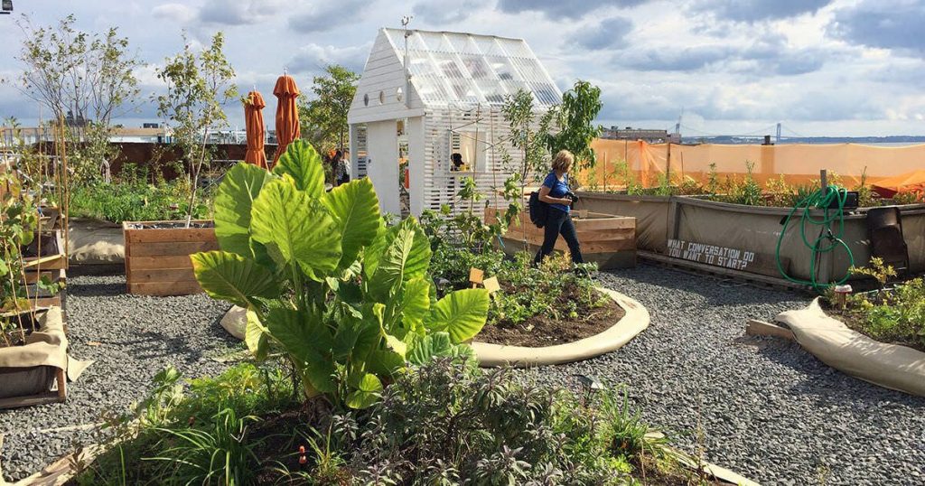 Food Forest in Brooklyn
