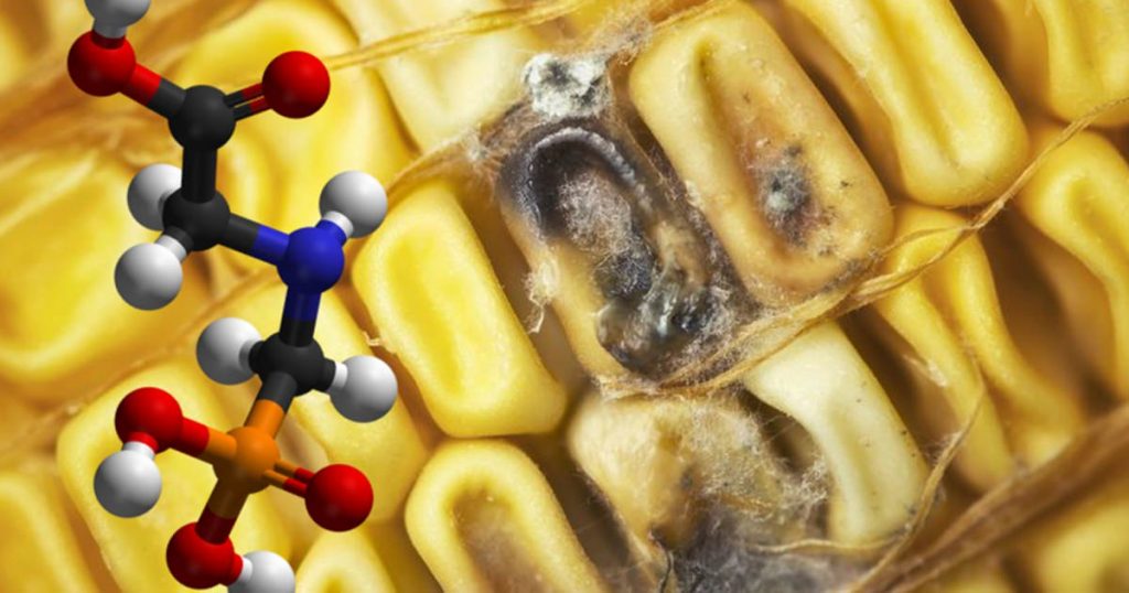 GMO RHAi dangers