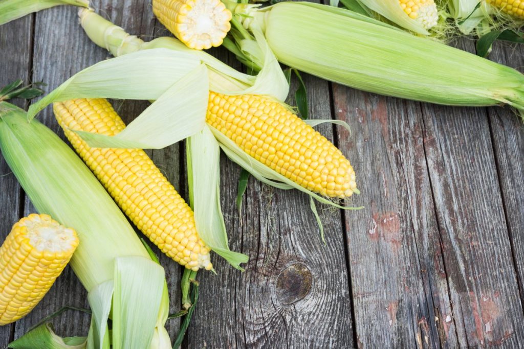 Ears of corn on a table