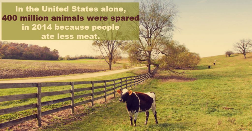 Animals are being saved because people are eating less meat