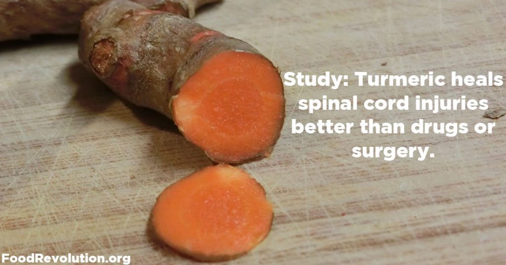 Turmeric heals spinal cord injuries