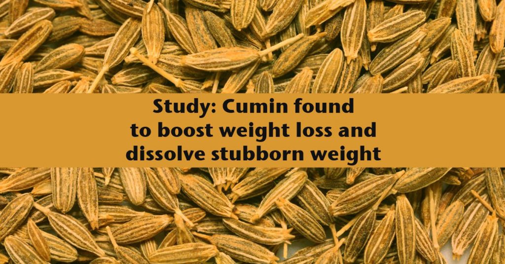 Weight Loss Cumin