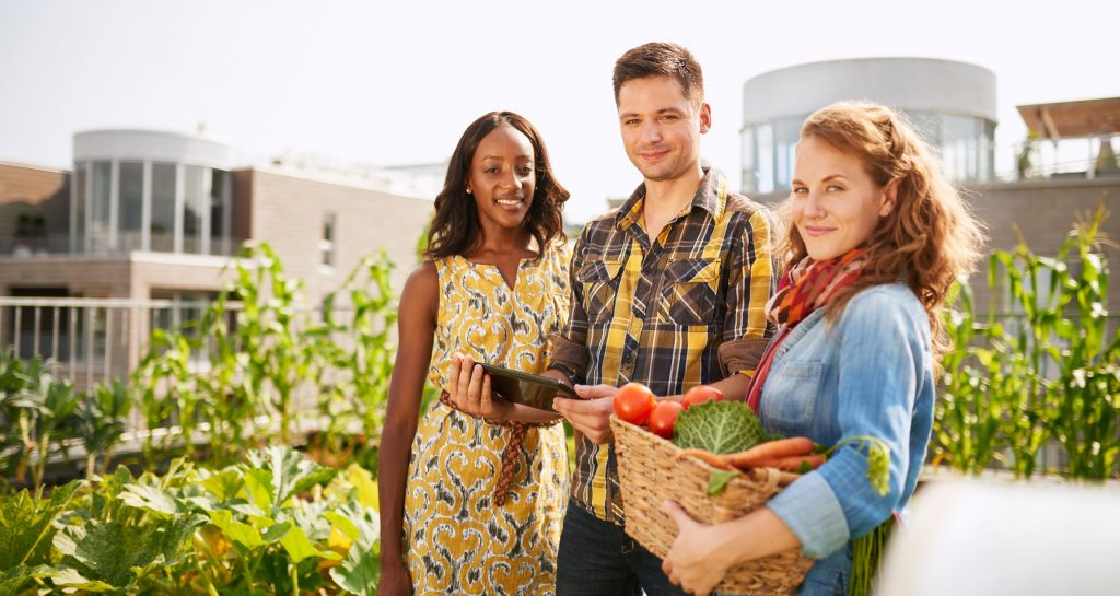 Young people in an edible landscape garden with food