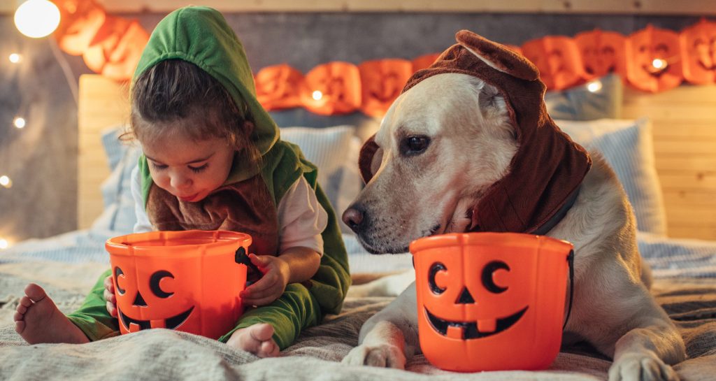 Girl and dog in costumes with jack-o-lantern buckets