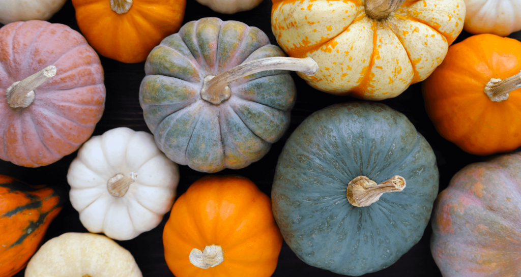 Benefits of Pumpkins