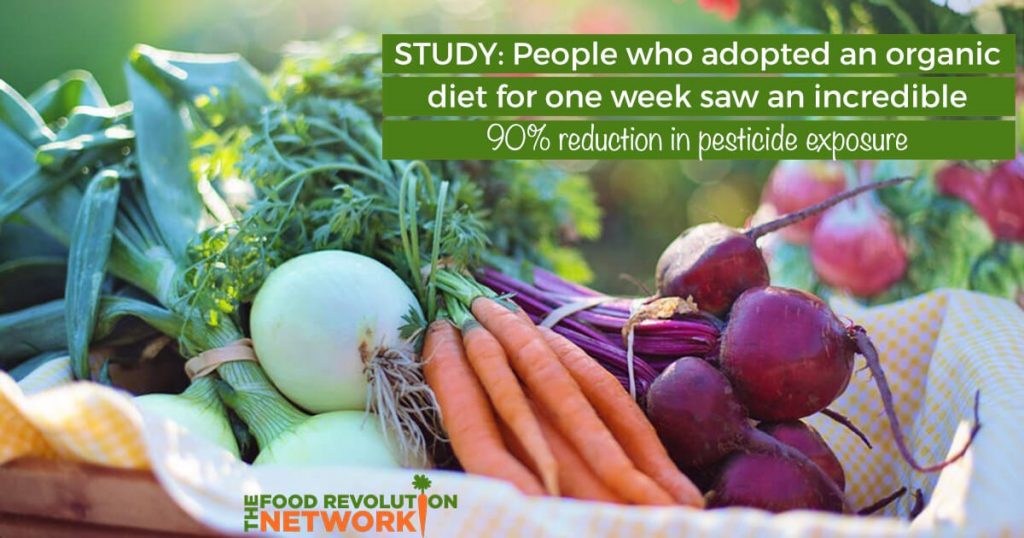 Study: Organic diet reduced pesticide exposure by 90 percent in one week