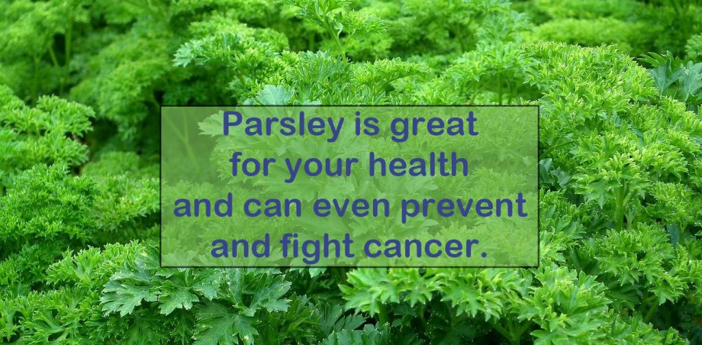 parsley health benefits