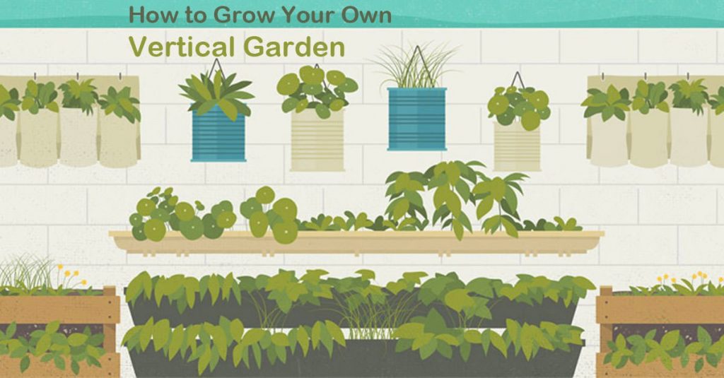 Vertical garden how to